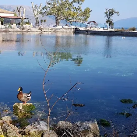 Appartement K For Kefalonia