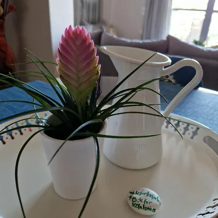 K For Kefalonia Appartement