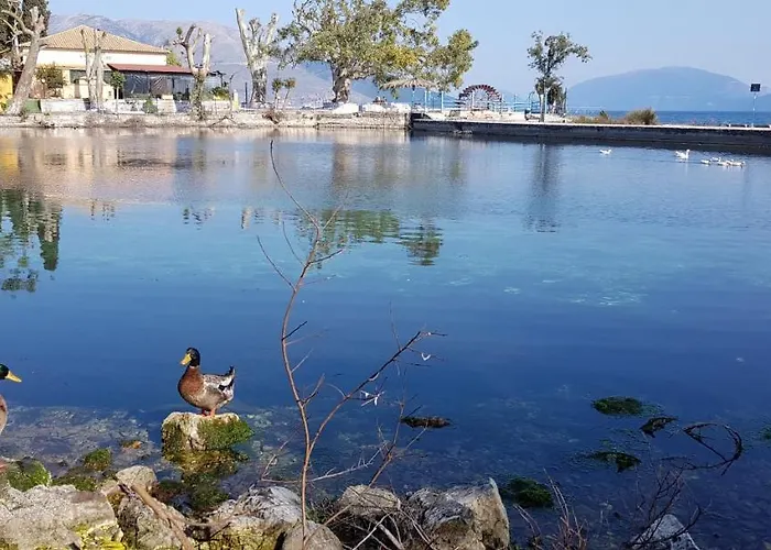 Appartement K For Kefalonia