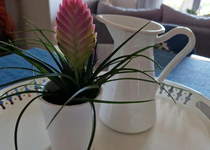 K For Kefalonia Appartement